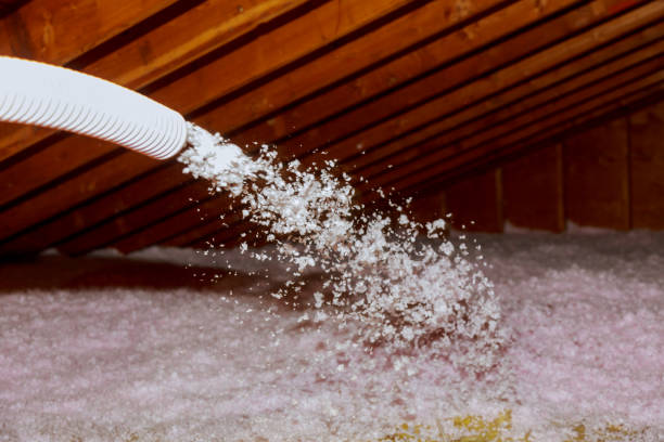 Best Energy Efficiency Solutions in West Homestead, PA